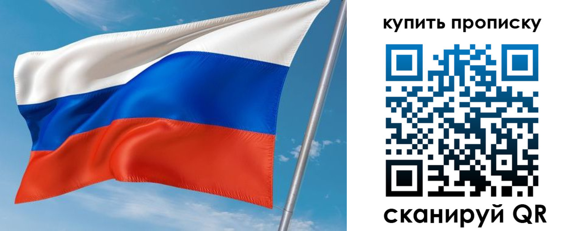 прописка поиск в Михайловке